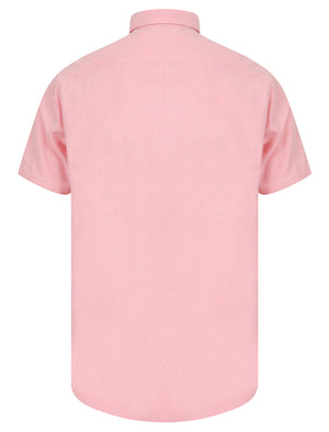 Tiberius Short Sleeve Oxford Cotton Shirt in Pink  - Tokyo Laundry