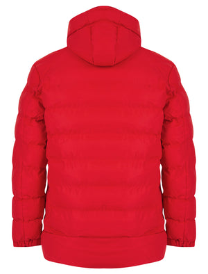 Yorkshire 2 Quilted Puffer Coat with Hood in Barados Cherry - Tokyo Laundry
