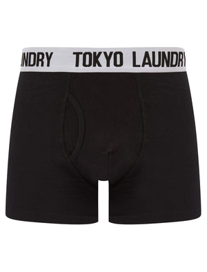 Trader 2 (2 Pack) Boxer Shorts Set in Bright White / Dusty Jade Green - Tokyo Laundry