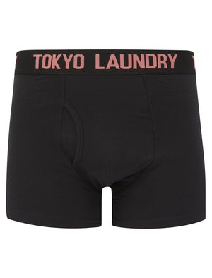 Harland (2 Pack) Boxer Shorts Set in Faded Peach / Blue Atoll - Tokyo Laundry