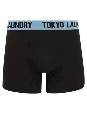 Venti (2 Pack) Boxer Shorts Set in Pink Nectar / Blissful Blue - Tokyo Laundry
