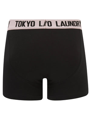 Venti (2 Pack) Boxer Shorts Set in Pink Nectar / Blissful Blue - Tokyo Laundry