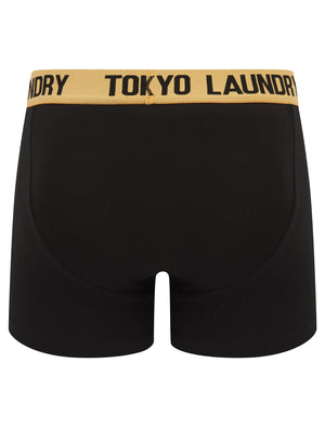 Venti (2 Pack) Boxer Shorts Set in Mock Orange / Opaline Green - Tokyo Laundry