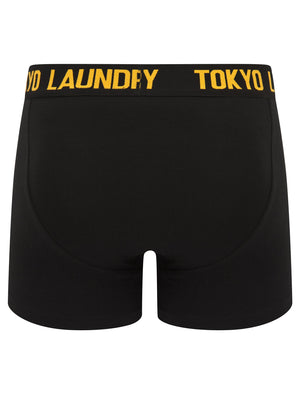 Laken (2 Pack) Boxer Shorts Set in Opaline Green / Blazing Orange - Tokyo Laundry