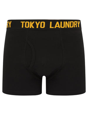Laken (2 Pack) Boxer Shorts Set in Opaline Green / Blazing Orange - Tokyo Laundry