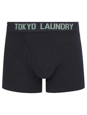 Hillside 2 (2 Pack) Boxer Shorts Set in Chinois Green / Sky Captain Navy - Tokyo Laundry