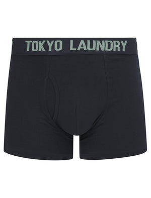 Sanak (2 Pack) Boxer Shorts Set in Chinois Green / Sky Captain Navy - Tokyo Laundry