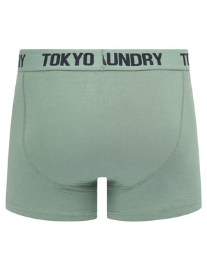 Hillside 2 (2 Pack) Boxer Shorts Set in Chinois Green / Sky Captain Navy - Tokyo Laundry