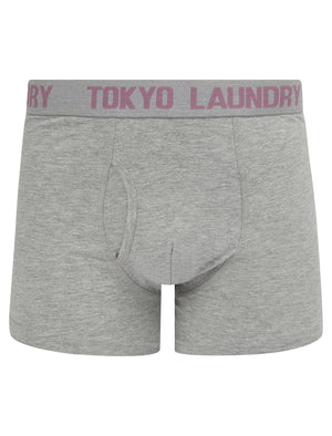 Sanak (2 Pack) Boxer Shorts Set in Light Grey Marl / Grapeade - Tokyo Laundry