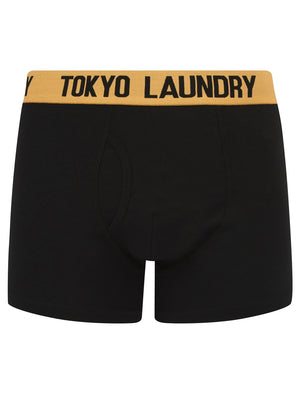 Marthem 3 (2 Pack) Boxer Shorts Set in Blissful Blue / Mock Orange - Tokyo Laundry