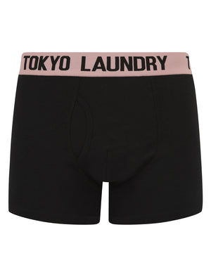 Marthem 3 (2 Pack) Boxer Shorts Set in Pink Nectar / Light Grey - Tokyo Laundry