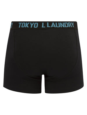 Walkers 3 (2 Pack) Boxer Shorts Set in Azure Blue / Sunshine - Tokyo Laundry