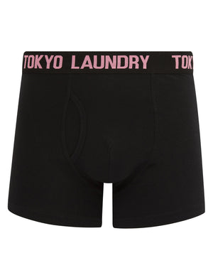 Walkers 3 (2 Pack) Boxer Shorts Set in Sachet Pink / Jet Stream - Tokyo Laundry