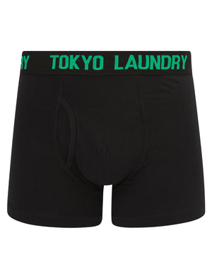Walkers 3 (2 Pack) Boxer Shorts Set in Simply Green / Hot Coral - Tokyo Laundry