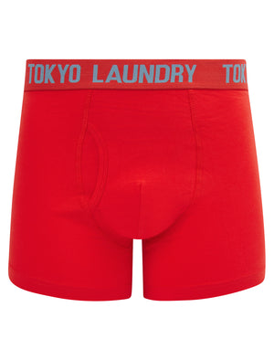 Hillside 3 (2 Pack) Boxer Shorts Set in Blissful Blue / Poppy Red - Tokyo Laundry