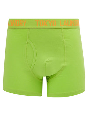 Hillside 3 (2 Pack) Boxer Shorts Set in Mock Orange / Opaline Green - Tokyo Laundry