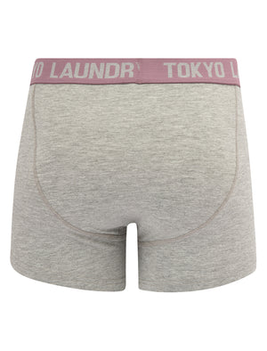 Abbots 3 (2 Pack) Boxer Shorts Set in Light Grey Marl / Grapeade - Tokyo Laundry