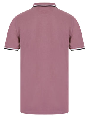 Underwood 2 Cotton Pique Polo Shirt in Grapeade - Kensington Eastside