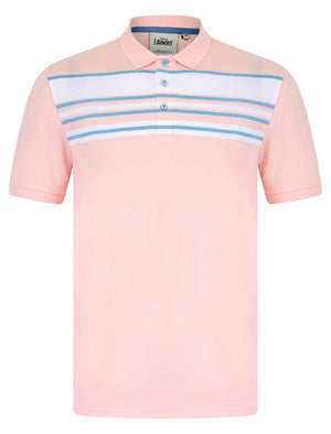 Hayden Yarn Dyed Stripe Cotton Pique Polo Shirt in Pinkesque - Tokyo Laundry