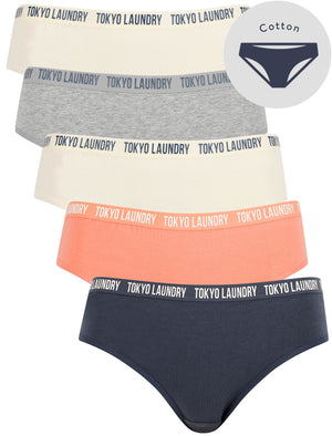Alice (5 Pack) Cotton Assorted Briefs in Jet Stream / Light Grey Marl / Terracotta / Ombre Blue - Tokyo Laundry
