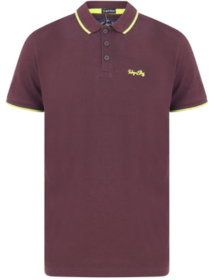Farren (2 Pack) Cotton Pique Polo Shirt with Neon Tipping in Navy / Plum Perfect - Tokyo Laundry