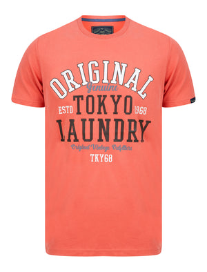 Dischord Motif Cotton Jersey T-Shirt in Faded Peach - Tokyo Laundry