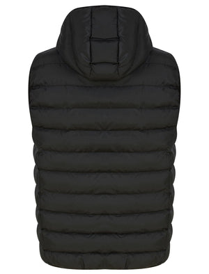Dallon Quilted Puffer Gilet with Hood in Jet Black - Tokyo Laundry