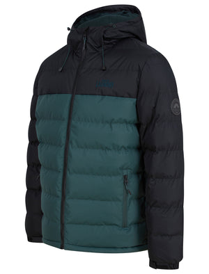 Taichi Micro-Fleece Lined Quilted Puffer Jacket with Hood in Jet Black - Tokyo Laundry