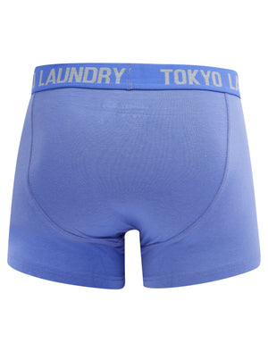 Saxen (2 Pack) Boxer Shorts Set in Baja Blue / Light Grey Marl - Tokyo Laundry