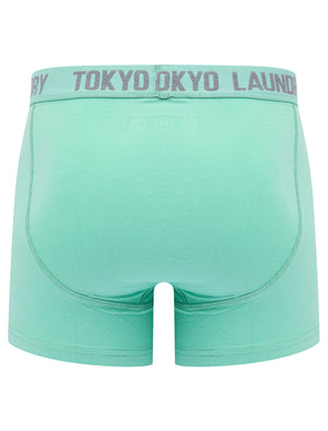 Lumber 2 (2 Pack) Boxer Shorts Set in Dusty Jade Green / Mid Grey Marl - Tokyo Laundry