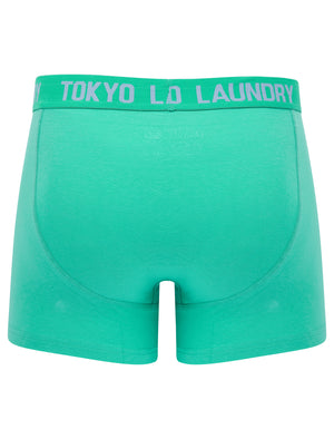 Lumber 2 (2 Pack) Boxer Shorts Set in Blue Bell / Atlantis - Tokyo Laundry