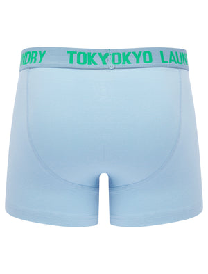 Lumber 2 (2 Pack) Boxer Shorts Set in Blue Bell / Atlantis - Tokyo Laundry