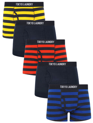 Zavi (5 Pack) Cotton Sports Boxer Shorts Set in Bright Stripe - Tokyo Laundry