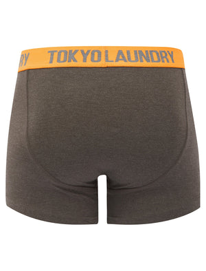 Foss (2 Pack) Boxer Shorts Set in Dark Grey Marl / Mid Grey Marl - Tokyo Laundry