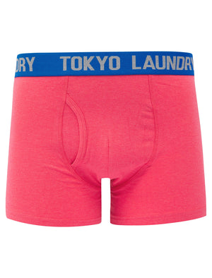 Foss (2 Pack) Boxer Shorts Set in Pink Marl / Light Grey Marl - Tokyo Laundry