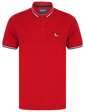 Jerry Cotton Pique Polo Shirt with Tipping in Scooter Red - Kensington Eastside