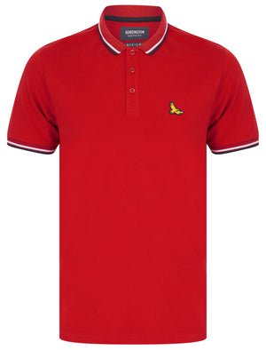 Trundle Cotton Pique Polo Shirt with Tipping in Scooter Red - Kensington Eastside