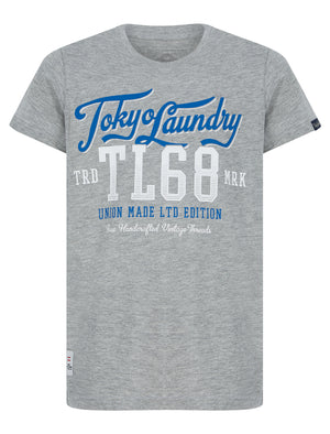 Boys Centre Stage Motif Cotton T-Shirt in Mid Grey Marl - Tokyo Laundry Kids