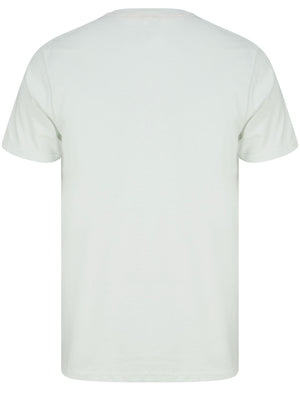 Dream State Motif Cotton Jersey T-Shirt in Hint Of Mint - South Shore