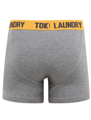 Beldon (2 Pack) Boxer Shorts Set in Navy Blazer / Zinnia Orange - Tokyo Laundry