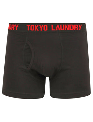 Booker (2 Pack) Boxer Shorts Set in High Risk Red / Jet Blue - Tokyo Laundry