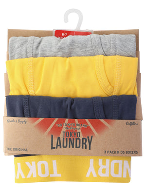 Boys (6-13yr) Henson (3 Pack) Boxer Shorts Set in Mood Indigo / Solar Yellow / Grey Marl - Tokyo Laundry
