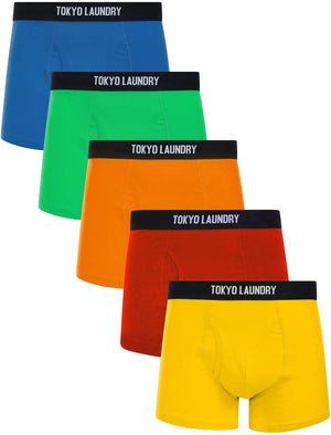 Koman (5 Pack) Cotton Sports Boxer Shorts Set in Bright - Tokyo Laundry