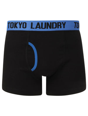 Nevern 2 (2 Pack) Boxer Shorts Set in Olympian Blue / Radiant Orchid - Tokyo Laundry