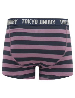 Alcott (2 Pack) Striped Boxer Shorts Set in Grape Jam / Navy Blazer - Tokyo Laundry