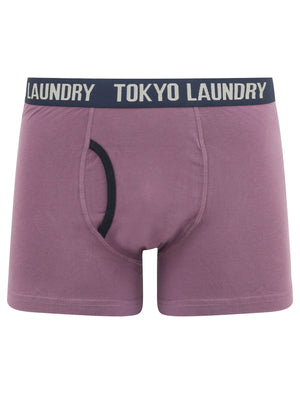 Alcott (2 Pack) Striped Boxer Shorts Set in Grape Jam / Navy Blazer - Tokyo Laundry
