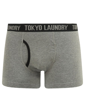 Athelstan (2 Pack) Boxer Shorts Set in Golden Poppy / Mid Grey Marl - Tokyo Laundry