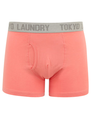 Bromley (2 Pack) Boxer Shorts Set in Sea Surf Blue / Peach Blossom - Tokyo Laundry