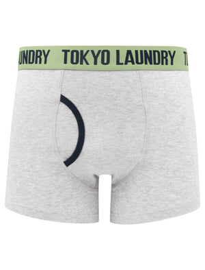 Needham (2 Pack) Striped Boxer Shorts Set in Green Eyes / Light Grey Marl - Tokyo Laundry