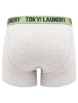 Needham (2 Pack) Striped Boxer Shorts Set in Green Eyes / Light Grey Marl - Tokyo Laundry